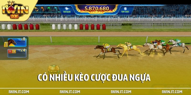 Có nhiều kèo cược đua ngựa